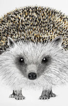 Carica l'immagine nel visualizzatore di Gallery, Charlotte Nicolin Vassoio rettangolare in legno multistrato Riccio