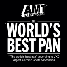 Load image into Gallery viewer, Gastroguss Induction Bistecchiera cm.28 manico removibile