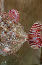 Load and play video in Gallery viewer, Massimo Lunardon Decanter pesce Betta
